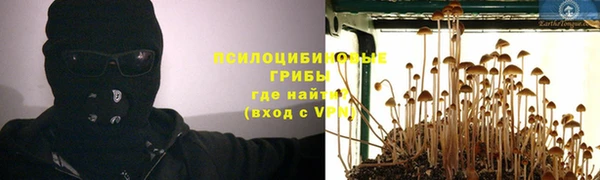 spice Михайлов