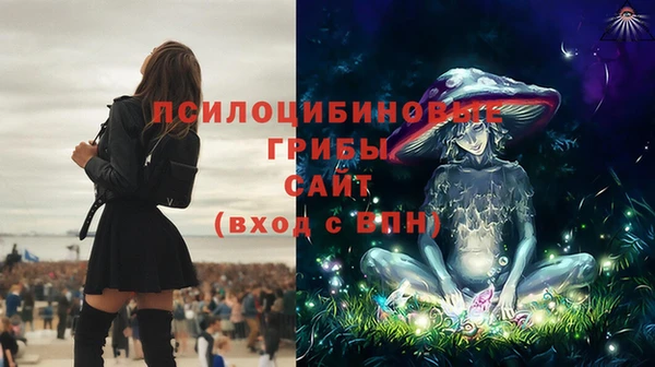 spice Михайлов