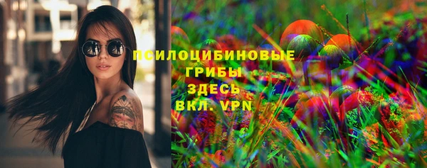 spice Михайлов