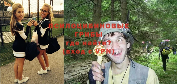 a pvp Медвежьегорск