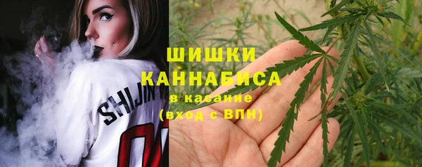винт Мегион
