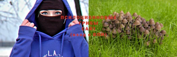 амфетамин Медногорск